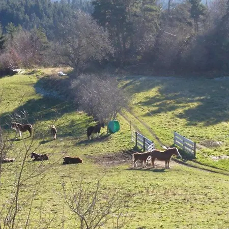 Maison Familiale 4 Avec Jardin, Cheminee, Poele A Bois, Parking Et Wi-fi - Fr-1-582-230 * Saint-Vert